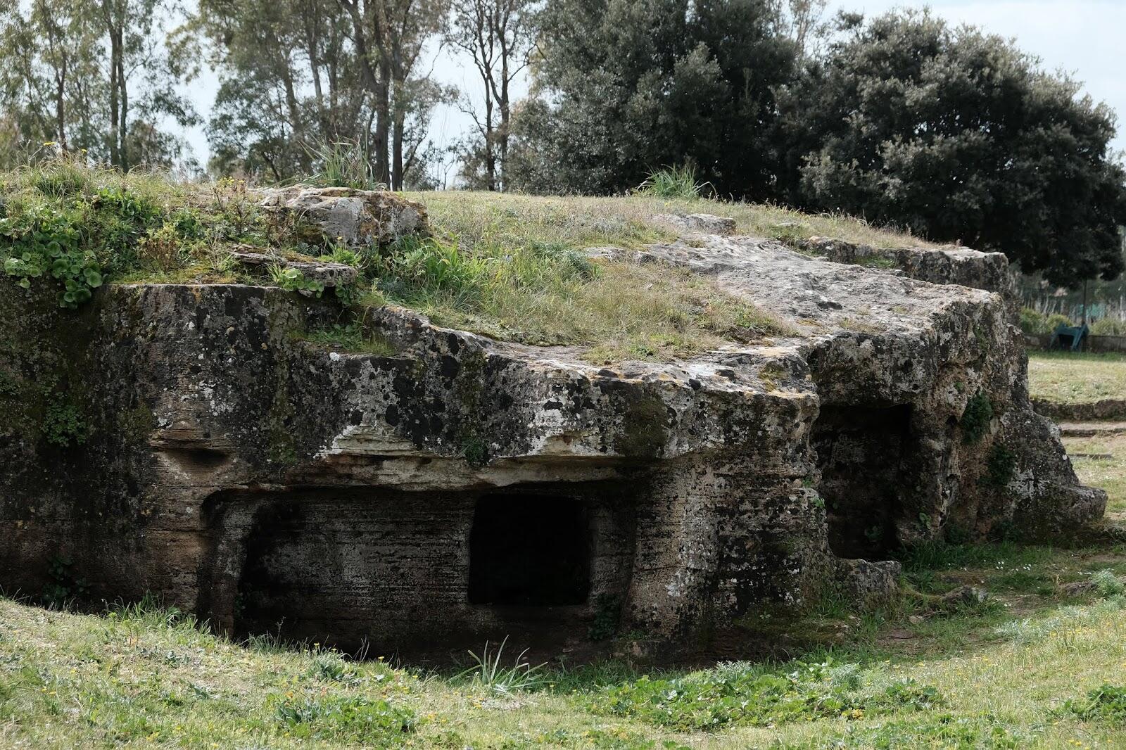 Corallo e Pietra: Custodi del Tempo-Alla scoperta della storia millenaria di Alghero - visita guidata